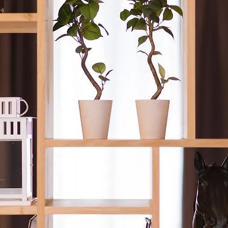 Bed & Breakfast T2 Bis Luxe Hyper Centre Piscine