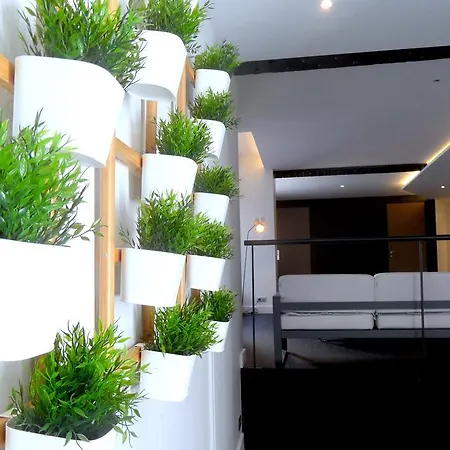 T2 Bis Luxe Hyper Centre Piscine Bed & Breakfast *