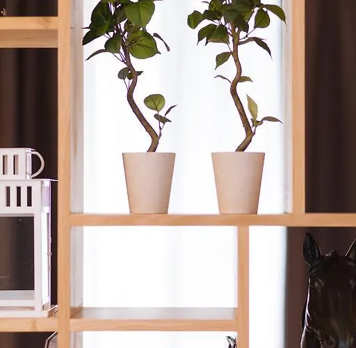 Alojamento de Acomodação e Pequeno-almoço T2 Bis Luxe Hyper Centre Piscine